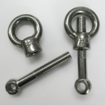 Swing Bolt M16 x 110mm x 12mm in 304 Stainless