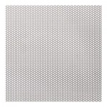 1.1mm Perforated 316 x 2mm Pitch - 0.75mm thick