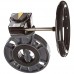 BYCS1040E1GGA Butterfly Valve