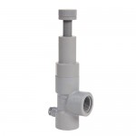 RV2150TE Pressure Relief Valve